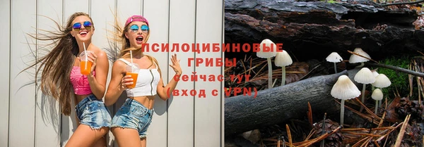 индика Алзамай